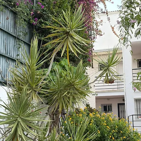 Mi Oasis Torremolinos