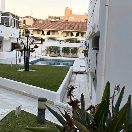 Mi Oasis *