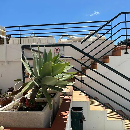 Mi Oasis Torremolinos